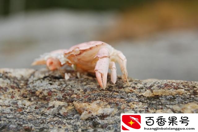 女生欠了20万终于上岸了