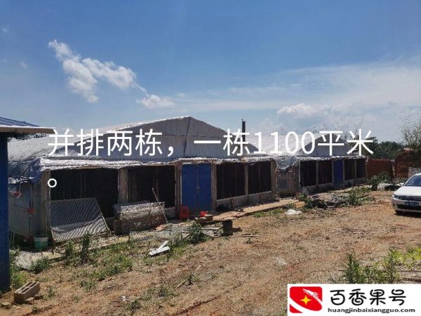开养殖公司需要多少钱