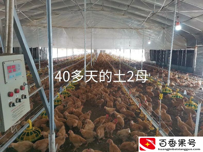 开养殖公司需要多少钱