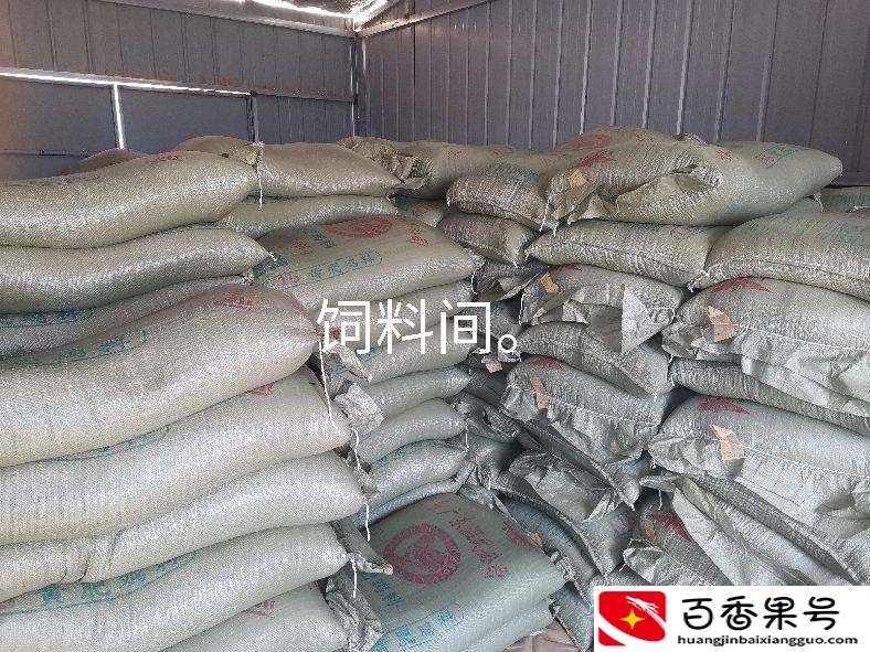 开养殖公司需要多少钱
