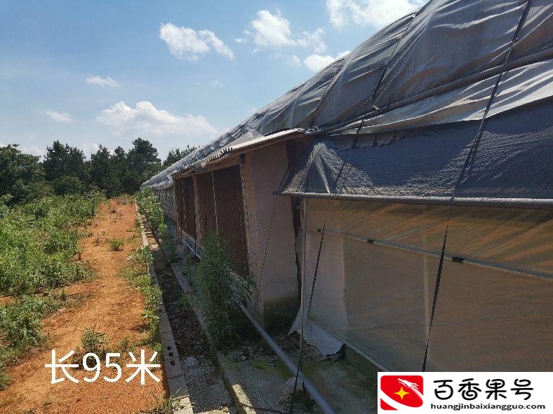 开养殖公司需要多少钱