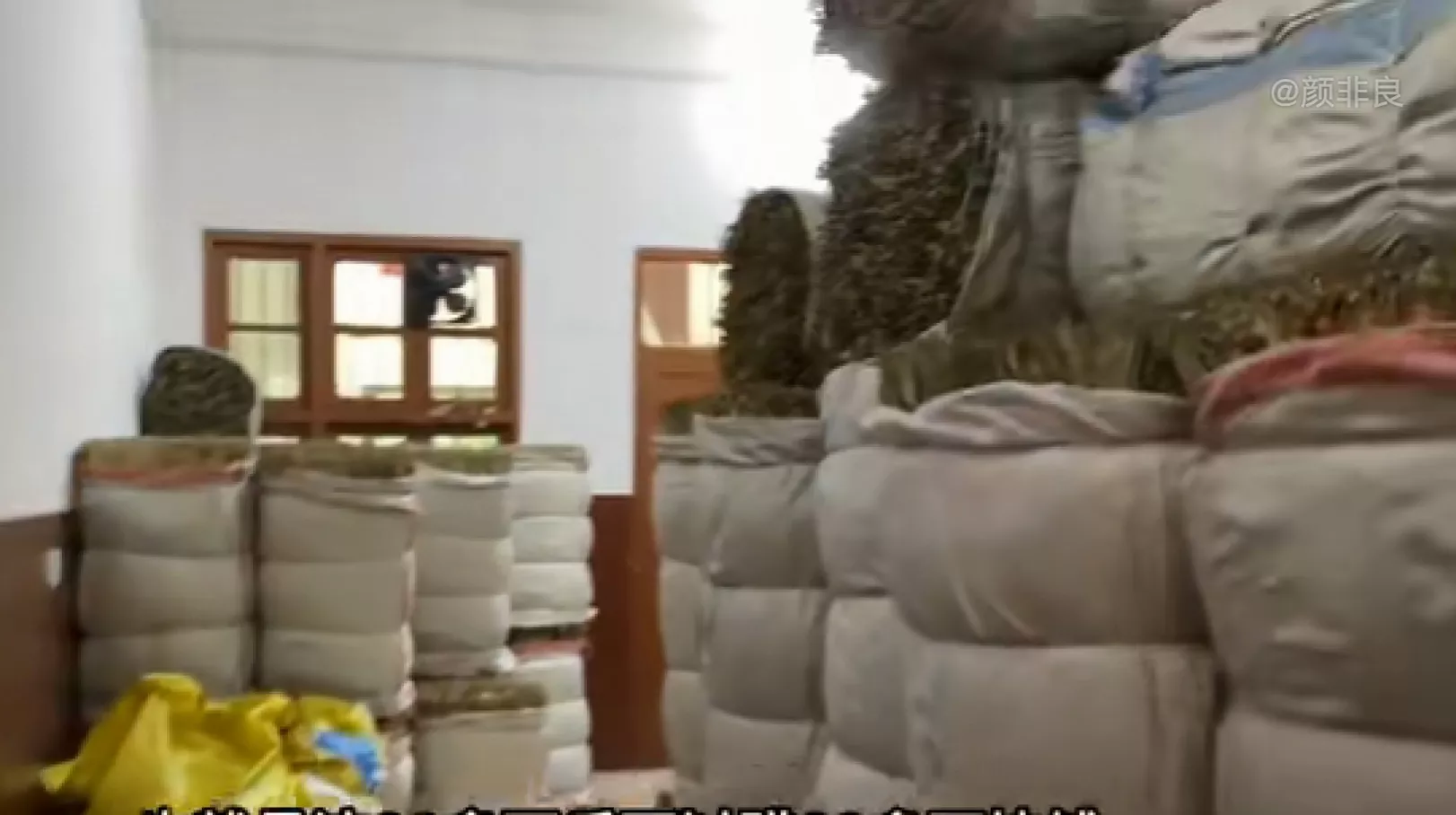 在农村做什么生意最赚钱最长远