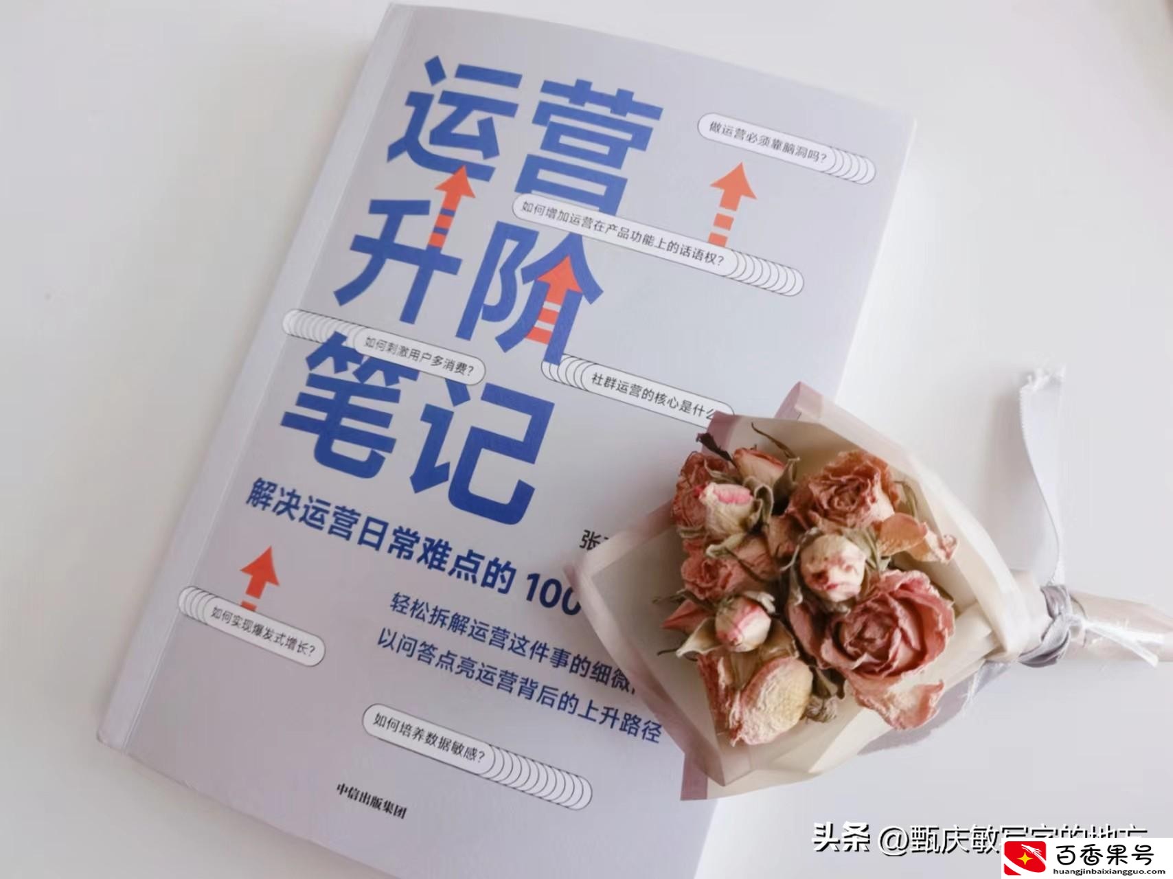 运营是做什么的工作内容是什么