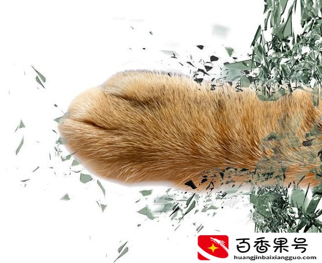 奶粉罐子废品回收可卖多少钱