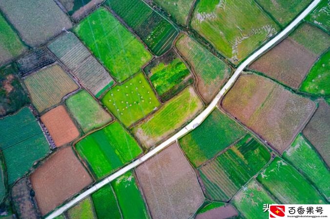 承包土地国家每亩补偿多少钱
