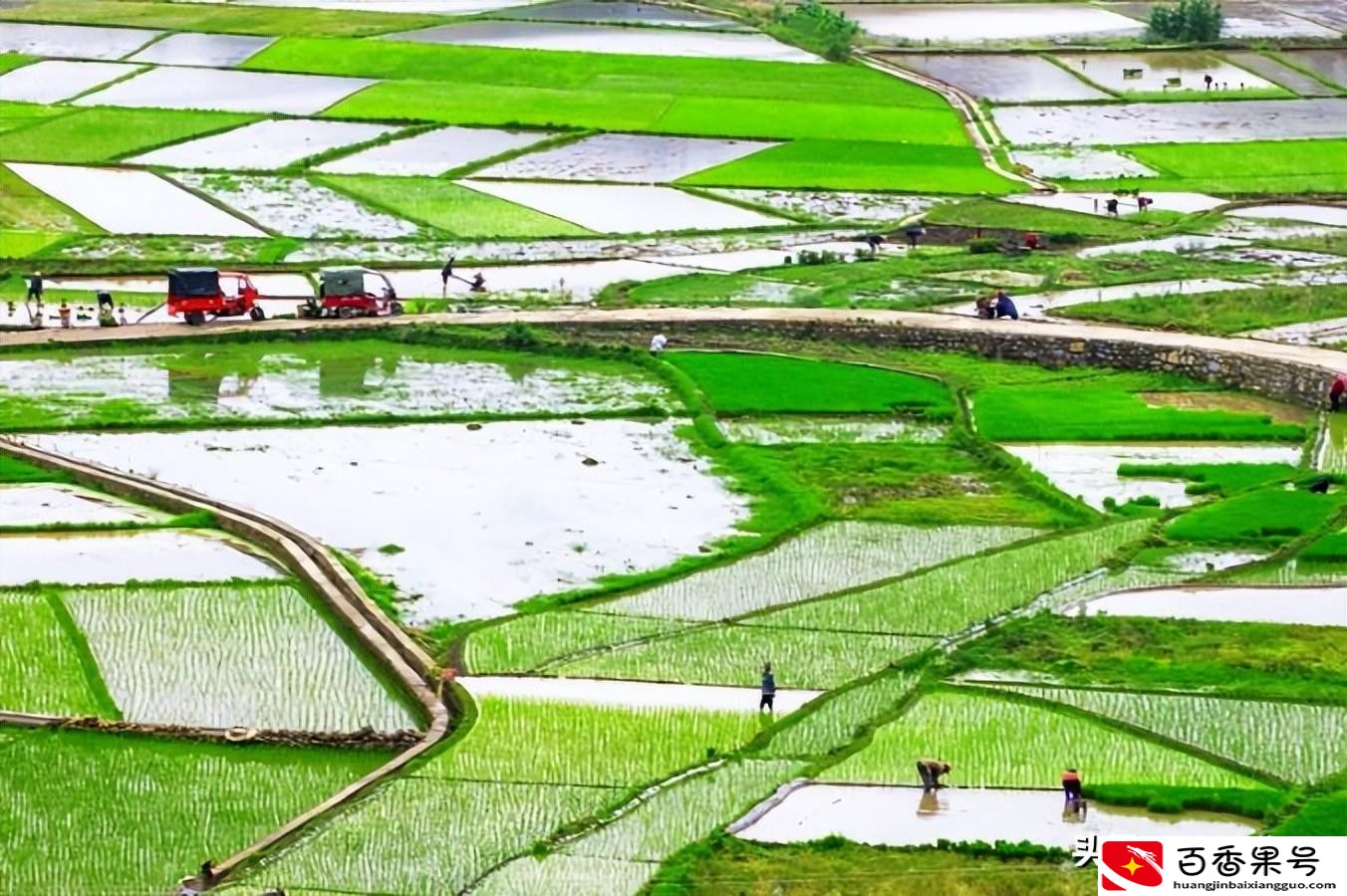 承包土地国家每亩补偿多少钱