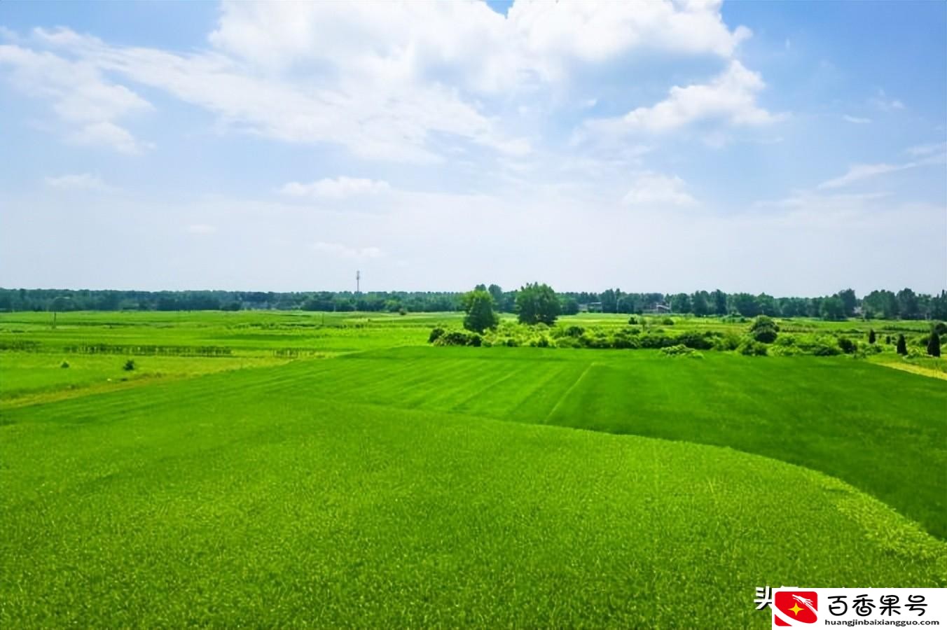 承包土地国家每亩补偿多少钱