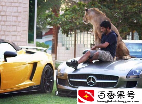 去迪拜需要多少钱