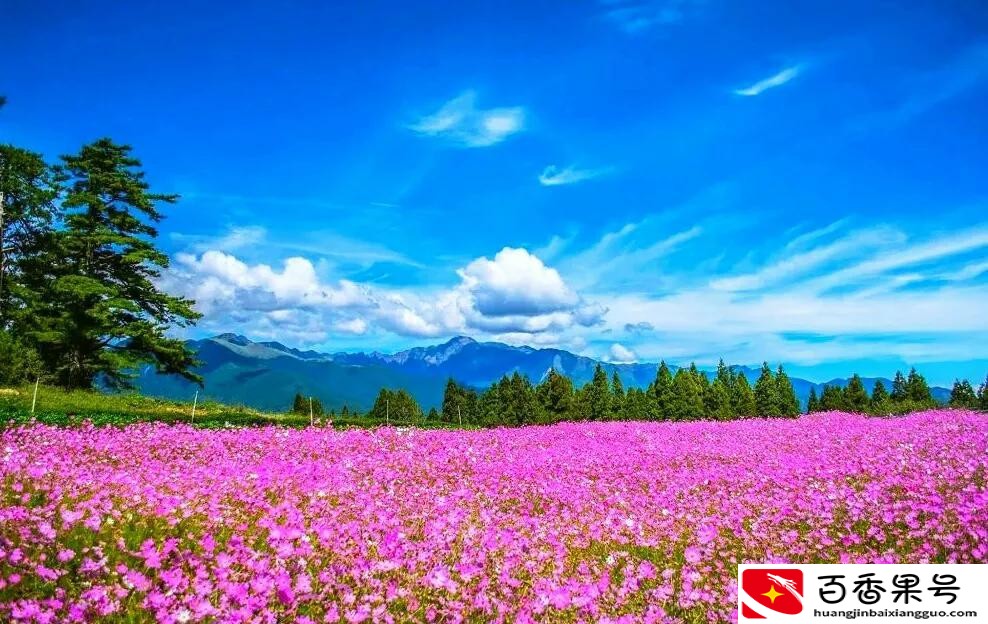 东莞哪里好玩旅游景区免费的