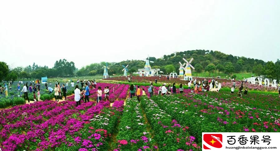 东莞哪里好玩旅游景区免费的