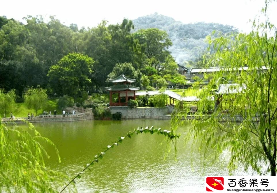 东莞哪里好玩旅游景区免费的