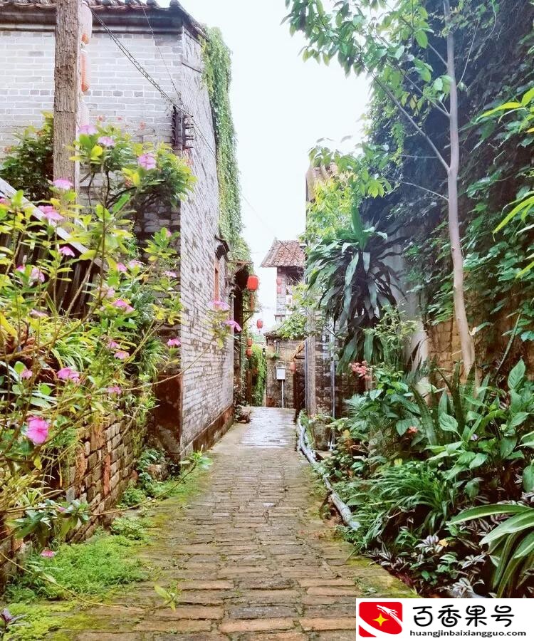 东莞哪里好玩旅游景区免费的