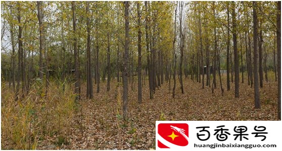 河北省最穷的三个市