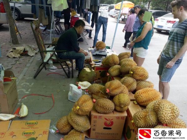摆摊卖榴莲赚钱吗？一个榴莲就卖上百块，应该能赚不少钱