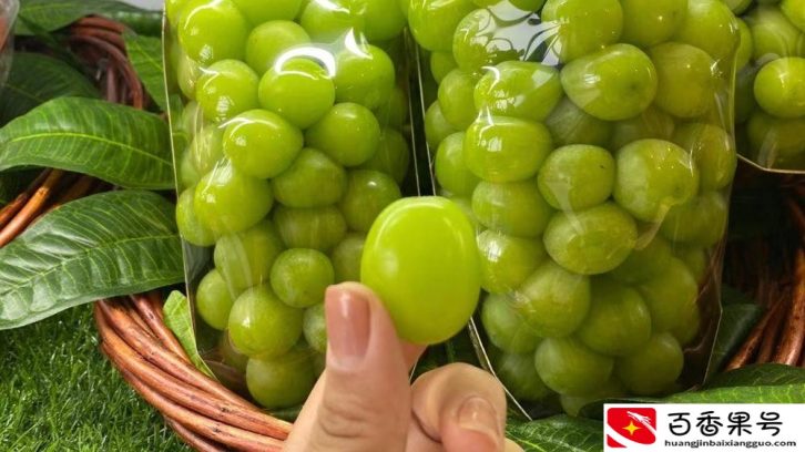 水果店刚开我就后悔了