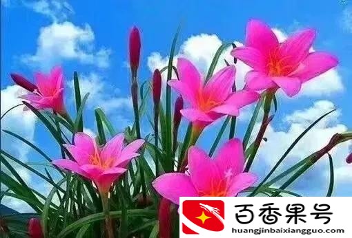 穿别人的旧衣服是福气