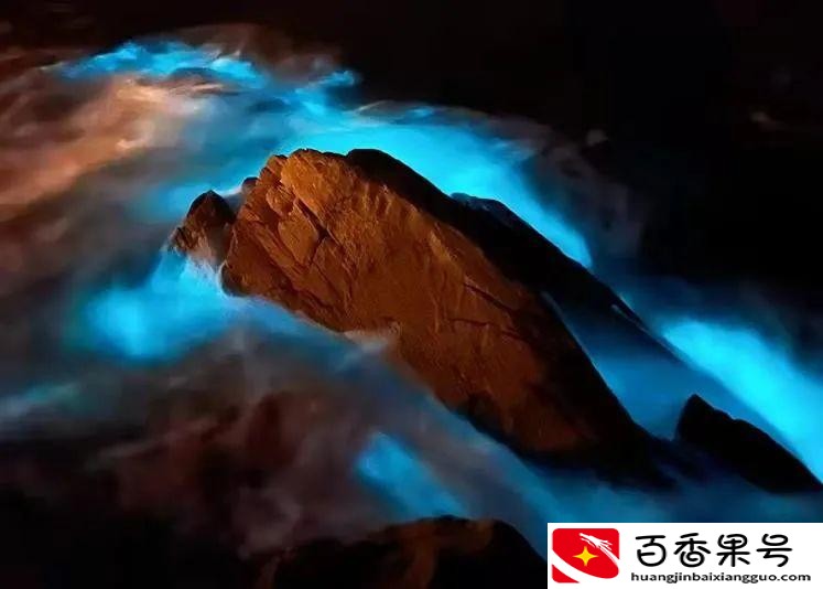 蓝眼泪是怎么形成的