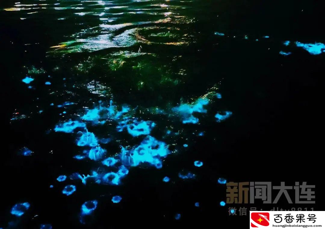 蓝眼泪是怎么形成的
