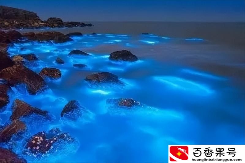 蓝眼泪是怎么形成的