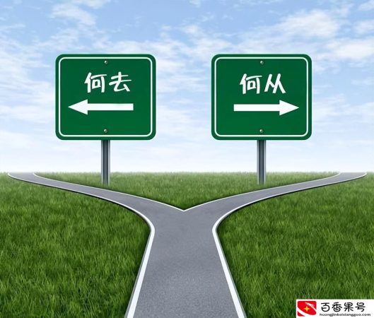 35岁学什么技术不晚