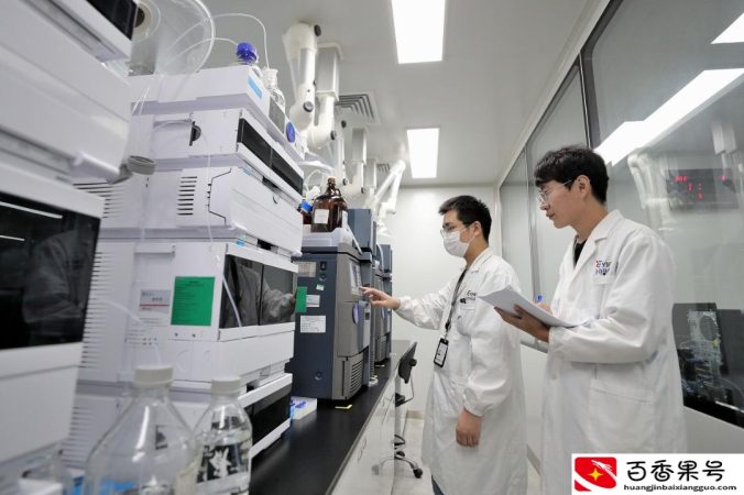大健康产业有哪些项目