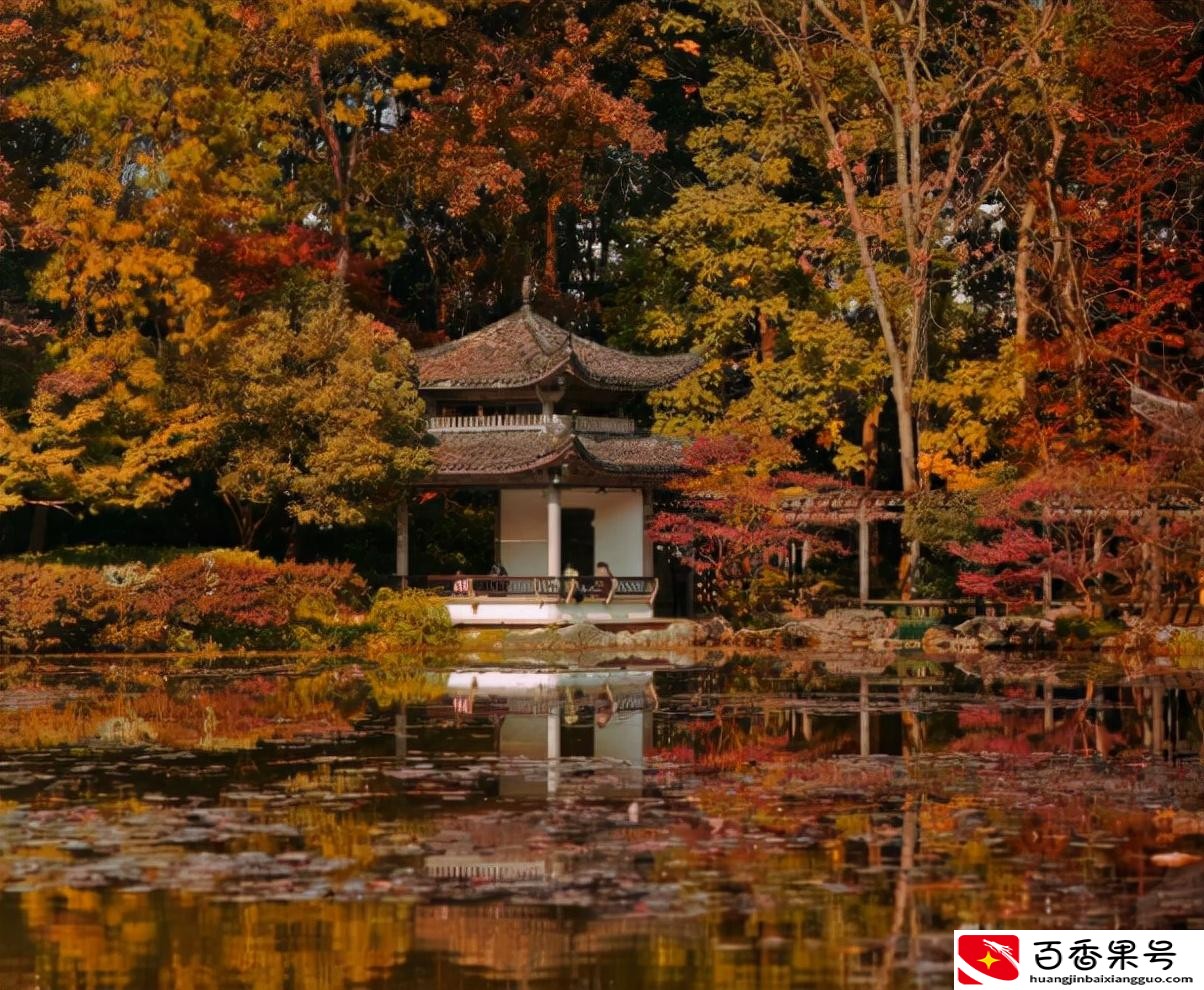 杭州有哪些地方好玩