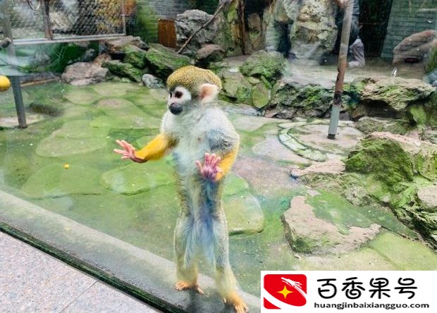 杭州有哪些地方好玩