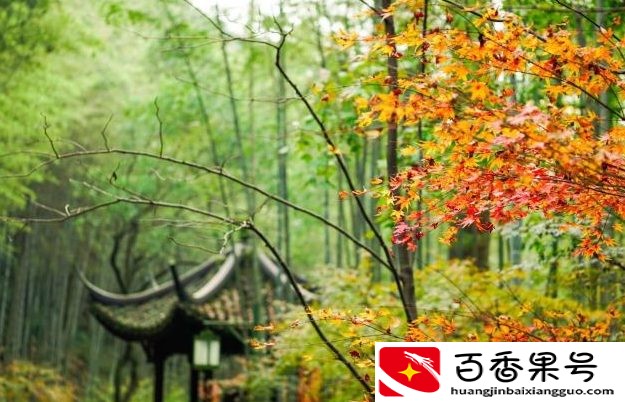 杭州有哪些地方好玩