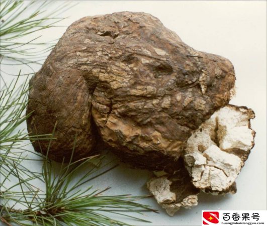 九寨十大特产，个个美味天然营养，不是不适宜而是用不同方式助力