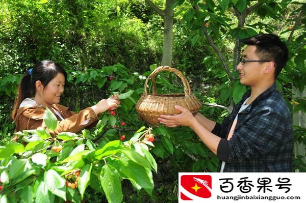九寨十大特产，个个美味天然营养，不是不适宜而是用不同方式助力