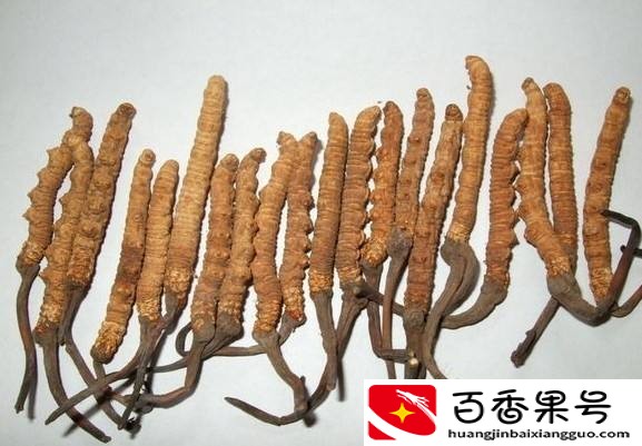 九寨十大特产，个个美味天然营养，不是不适宜而是用不同方式助力