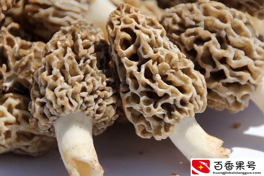 九寨十大特产，个个美味天然营养，不是不适宜而是用不同方式助力