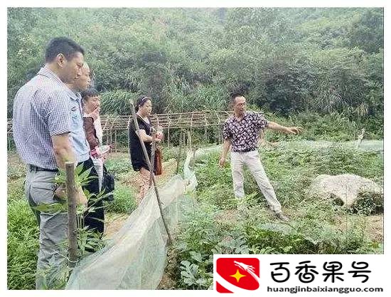一个女人在家养殖什么赚钱