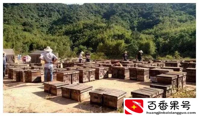 一个女人在家养殖什么赚钱
