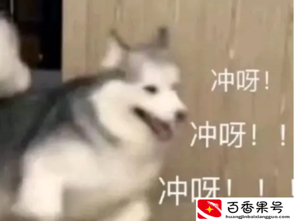 女孩子考个什么证书比较适合