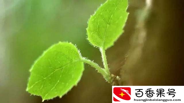 20个有意义的提问大学生