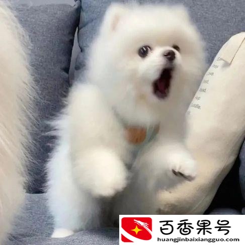 千万不要做仓库文员的工作