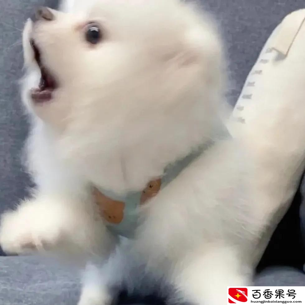 千万不要做仓库文员的工作