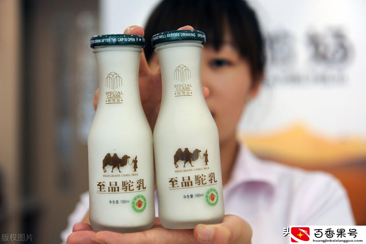 国家为什么禁止养骆驼原因