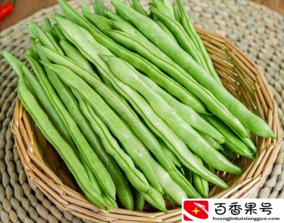 夏季蔬菜有哪些种类
