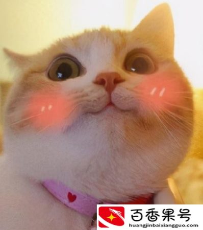 女孩子千万别做资料员