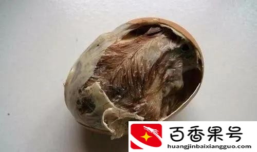 活珠子女人吃了有什么好处？活珠子是啥东西？