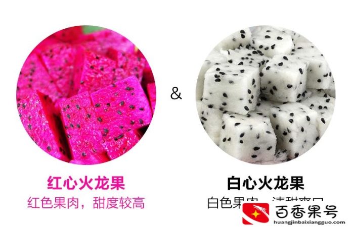 红心火龙果和白心火龙果的区别
