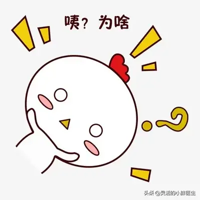 公鸡蛋和母鸡蛋的区别