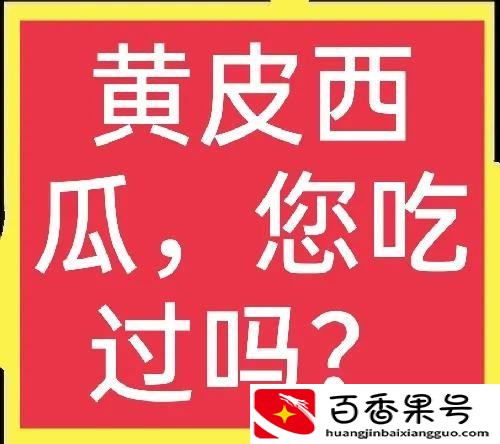 黄皮西瓜多少钱一斤
