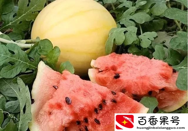 黄皮西瓜多少钱一斤
