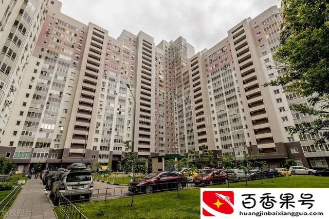 自吸泵怎么吸不出来水