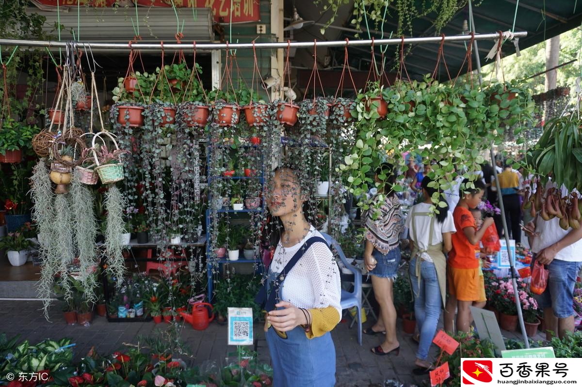 喜欢养花的女人什么性格