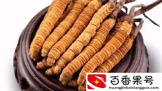 鲜虫草怎么保存？虫草怎么储藏放得最长时间？