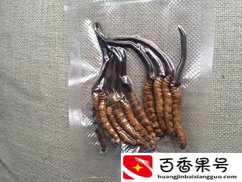 鲜虫草怎么保存？虫草怎么储藏放得最长时间？